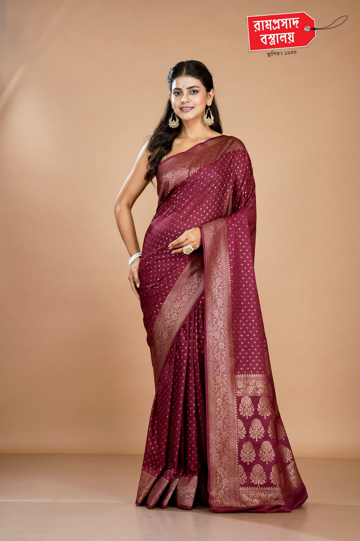 BROWN KHADDI GEORGETTE SAREE
