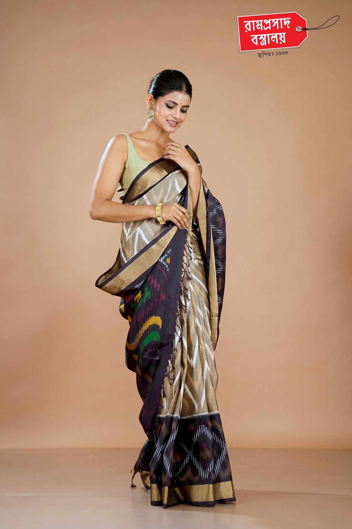CHIKU AARNI SILK SAREE
