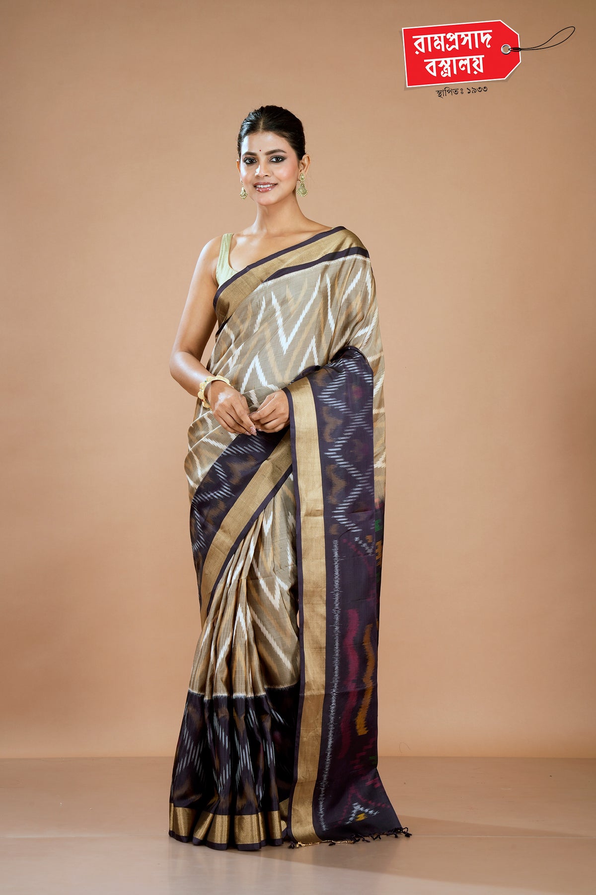 CHIKU AARNI SILK SAREE